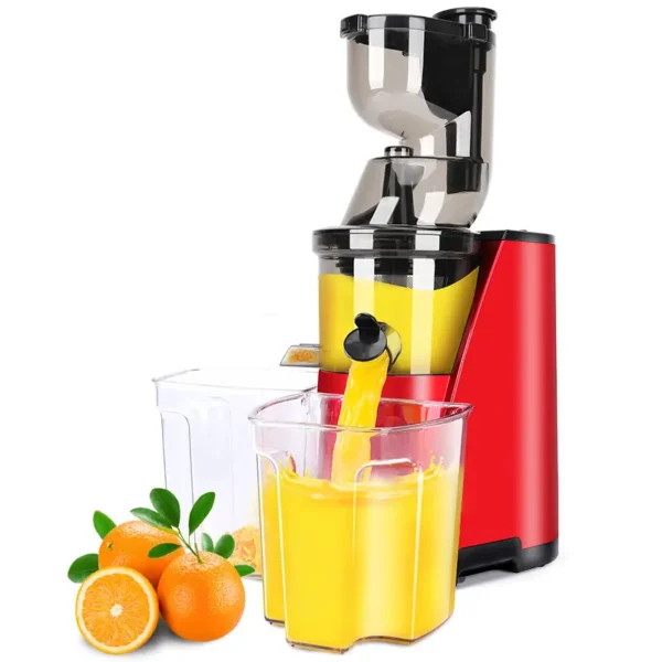 Slow Fruit Juicer